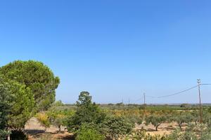 Terreno agricolo a mazara del vallo