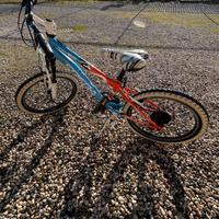 Bici bambino Frera