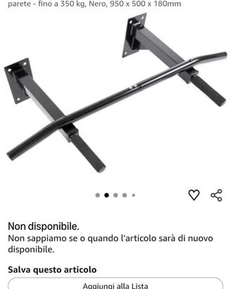 Barra trazioni a parete