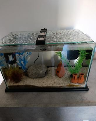 Acquario