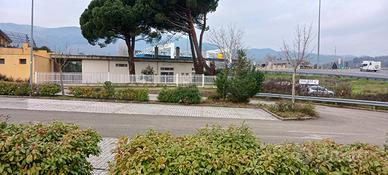 Locale commerciale, uffici,magazzino