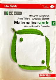Matematica verde 2.