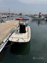 Boston whaler