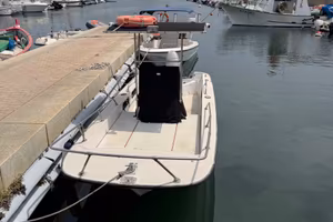 Boston whaler