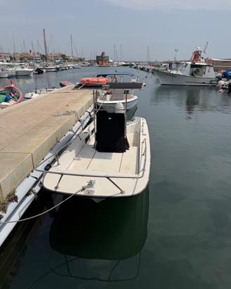 Boston whaler
