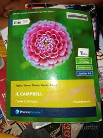 il campbell