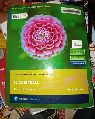 il campbell