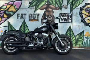 Harley-Davidson Fat Boy Special