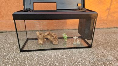 acquario 100 litri 