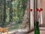 Immagine 8