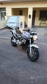 Honda Hornet 600