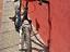 Immagine 5