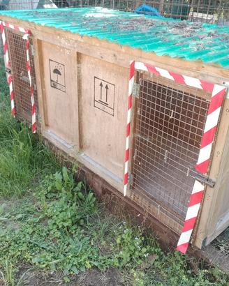 POLLAIO GABBIA PER ANIMALI 