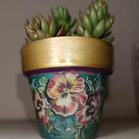 Vasetto in terracotta + piantina vera