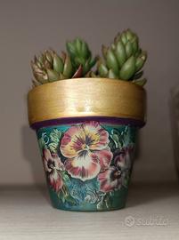 Vasetto in terracotta + piantina vera