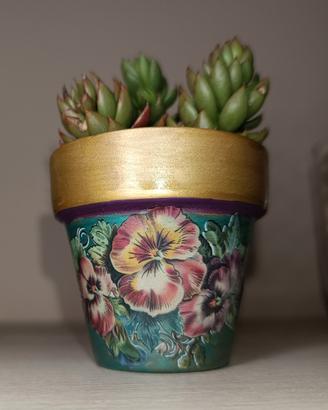 Vasetto in terracotta + piantina vera
