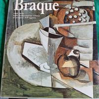 l'opera completa di Georges Bracque dalla scomposi