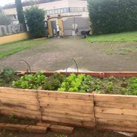 Servizi di giardinaggio Valdarno