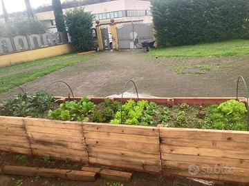 Servizi di giardinaggio Valdarno