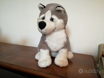 Peluche razza Husky