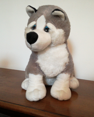 Peluche razza Husky