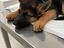 Immagine 2