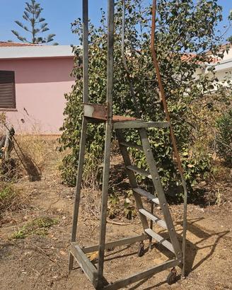 Scala a palchetto con ruote 200 cm.