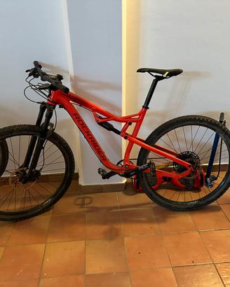 Rockrider xc100