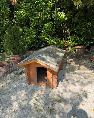 Cuccia casetta di legno per cani