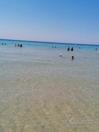 Salento 2026
