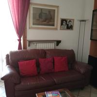 Due divani in vera pelle