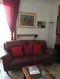 Due divani in vera pelle