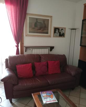 Due divani in vera pelle