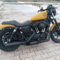 Sportster Iron 1200