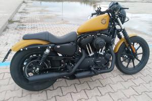 Sportster Iron 1200