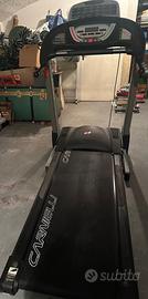 Tapirulan professionale.