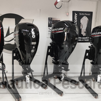 MOTORI Mercury F150 F115 POCHE Ore