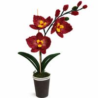 orchidea artificiale fatta a mano