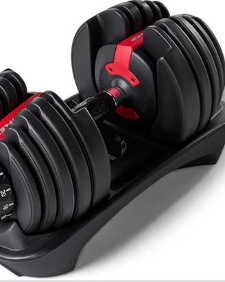 manubrio regolabile bowflex 24 kg
