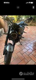 Benelli Leoncino 250