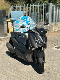 Xmax 300