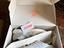 Immagine 6