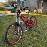 Downhill Specialized Demo 8