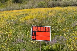 Terreno Oliveto Citra Qualità Semi Irrig