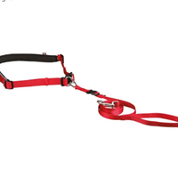 Cintura per guinzaglio