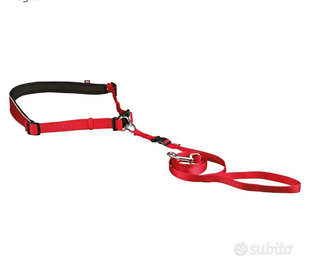 Cintura per guinzaglio