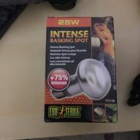 Lampada completa per Terrai