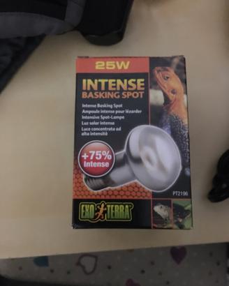 Lampada completa per Terrai