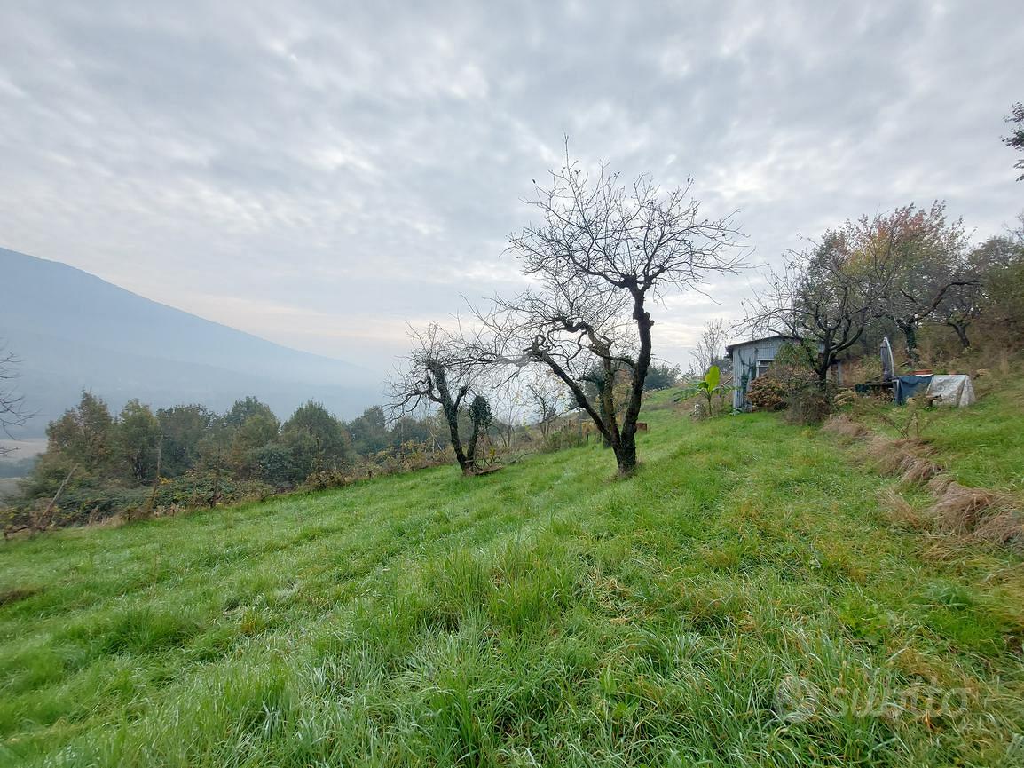 TER. AGRICOLO A CUMIANA - Vista 6