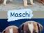 Immagine 6